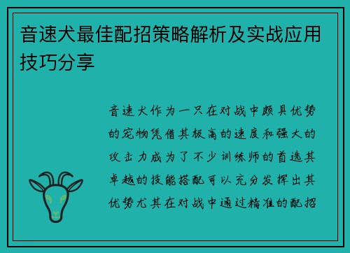 音速犬最佳配招策略解析及实战应用技巧分享