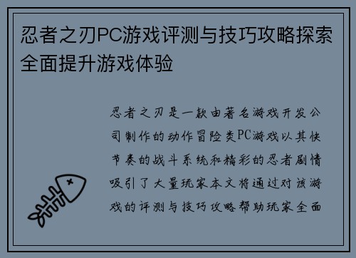 忍者之刃PC游戏评测与技巧攻略探索全面提升游戏体验